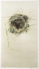 Birds Nest Study by Terence P. Flanagan, Watercolour, offered Jun 2026