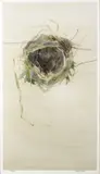 Birds Nest Study by Terence P. Flanagan, Watercolour, offered Jun 2026