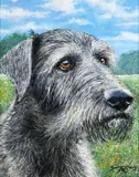 Andy Saunders, Irish Wolfhound, Oil on Board