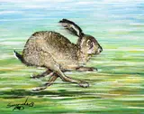 Andy Saunders, Running Hare, Oil on Board