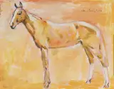 Con Campbell, The Mare