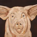 David Johnston, Piggy, Oil on Canvas