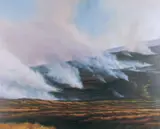 Frank Lokko, Hill Fires (Sally Gap), Oil on canvas