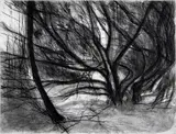 Geraldine O'Reilly, Forest Series 1 - 4, Set of 4 signed prints. Edition 3 of 25 (4)