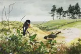 Julian Friers Prua, Scarlet Robin, Watercolour
