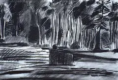 Barbara Ballachey, Untitled - Reflection, 1979, charcoal on paper