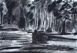Barbara Ballachey, Untitled - Reflection, 1979, charcoal on paper