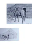 Patrick Douglass Cox, Hershae - By the Barn