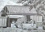 James McLaren Nicoll, Bowness Market