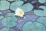 Walter J. Phillips, The Lily, 1925, colour wood block on paper