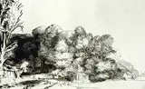 Harmensz Van Ryn Rembrandt, Clump of Trees with a Vista, 1652, etching on paper