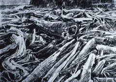 Untitled - Beach Logs by Gordon A. Smith, charcoal on paper, sold Nov 1994