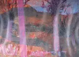 John Harold Thomas Snow, Landscape, Red Trees #12/14