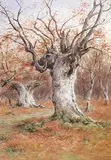 Frederick Arthur Verner, Burnham Beeches, 1902, watercolour on paper