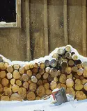 Helen Kowallek, Untitled - The Wood Pile, oil on masonite