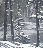 Henry Eric Bergman, Northern Night