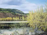 George Hogg, Sawmill Slough at Tata Creek, North of Kimberley, B.C., oil on canvas