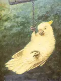 Marinus Adrianus II Koekkoek, Untitled - Parrot, oil on paper mounted on panel