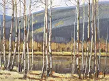 Matt Lindstrom, Untitled - Alberta Landscape