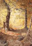 Thomas Mower Martin, Untitled - Forest Clearing in Autumn
