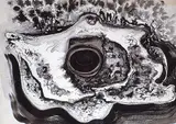 Clifford Foard Robinson, Whale Bone, Juneau, Alaska, 1950