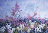 Carol Rockley, Mountain Fireweed, watercolour on paper