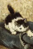Henriëtte Ronner-Knip, Untitled - Kitten Playing