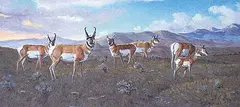 Antelope by Elmer Schock, 1975, oil on canvas board, sold Apr 1994