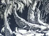 Margaret Shelton, Tree Roots, Opposite Matty's, 1940, lino block on paper