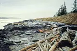 Simon H. Camping, Ruckle Park, Salt Spring Island, watercolour on paper
