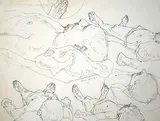 Ivan Eyre, Untitled - Figure Study