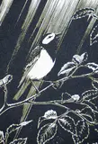Sylvia Hahn, Untitled - The Robin, wood engraving on paper