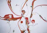 Alex Janvier, Red Eagle #23/49, 1975, colour silkscreen on paper