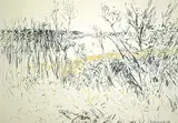 Dorothy Knowles, Yellow Weeds