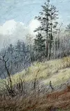 Thomas Mower Martin, Untitled - Landscape with Pines