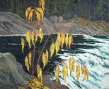 John Davenall Turner, Untitled - Mountain River