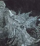 Alan Bruce Bradshaw, Le Mirror #1/30, 1979, wood engraving on paper