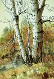 Earl Cummins, Birch #2, watercolour on paper