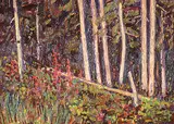 William Duma, Trees and Fireweed