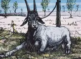 Joseph Fafard, Ram #29/45 E.V., 1989, hand-coloured lithograph on paper