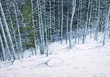 Hazel Georgina Litzgus, Kananaskis Valley, 1990, watercolour on paper