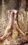 Thomas Mower Martin, Untitled - Forest Pastoral