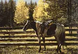 John Ralph Schnurrenberger, High Country Corral, oil on canvas board
