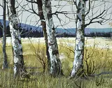 Tinyan Chan, Untitled - Popular Forest