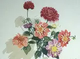 A.C. and Barbara Leighton - Barleigh, Fall Flowers #8/100