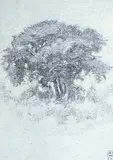 Untitled - Pastoral Sketch by Paul Archibald Octave Caron, coloured pencil on paper, sold Oct 1992