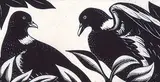 Robert Gibbings, Untitled - Two Doves, wood engraving on paper
