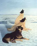 Lorenzo Fracchetti, Untitled - Husky Dogs, 1980, acrylic on canvas
