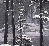 Henry Eric Bergman, Fir Trees in Snow
