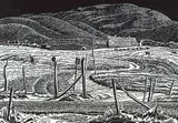 Margaret Shelton, Rural Mail Route #44/75, 1942, wood block on paper